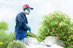 Обработка сада от паразитов - необходимые меры и их регулярность  в Нижнем Новгороде